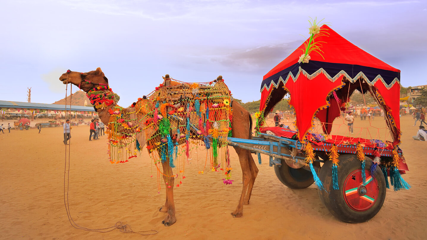 destination image